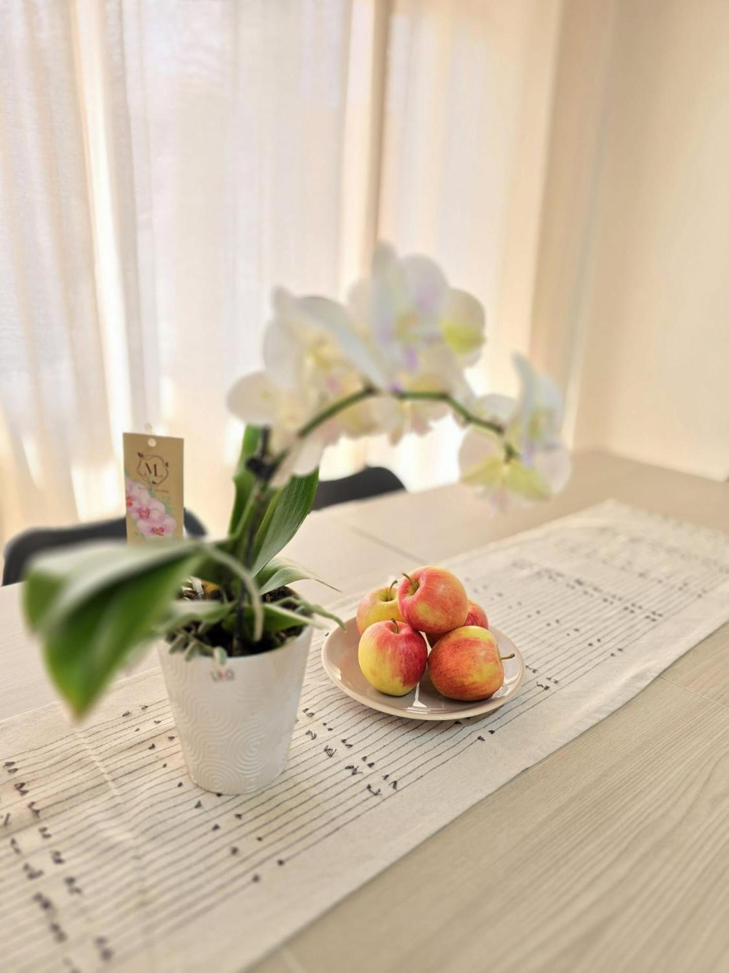 Aureum Loft רומא מראה חיצוני תמונה